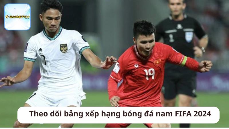 Theo dõi bảng xếp hạng bóng đá nam FIFA 2024