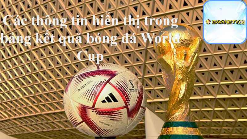 Các thông tin hiển thị trong bảng kết quả bóng đá World Cup