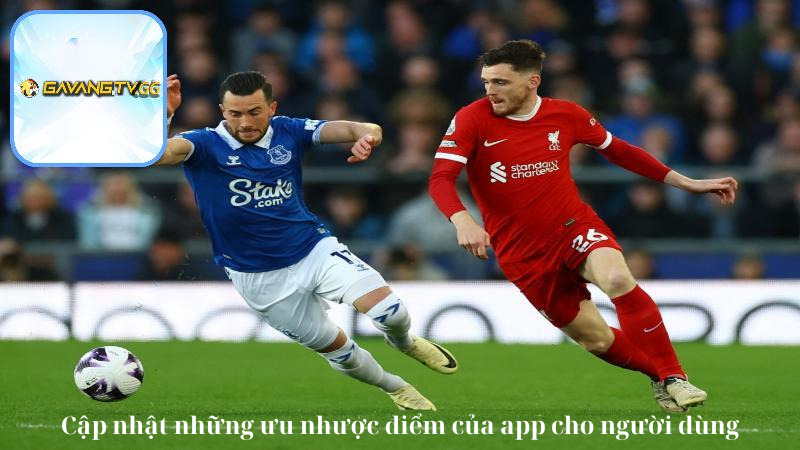 Tải app gavangtv để cập nhật những ưu điểm mới nhất