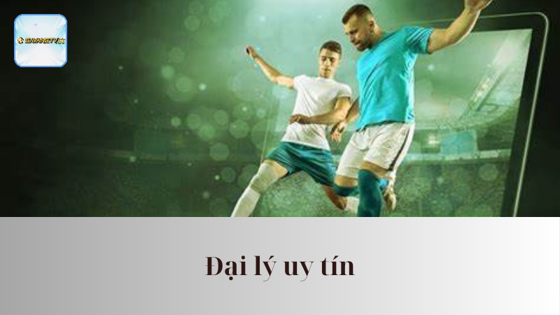 Các lưu ý tham gia trở thành một đại lý chính thức
