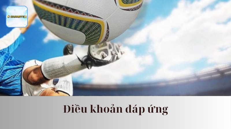 Thông tin đầy đủ về các quy trình nạp/rút trong ngày của người xem