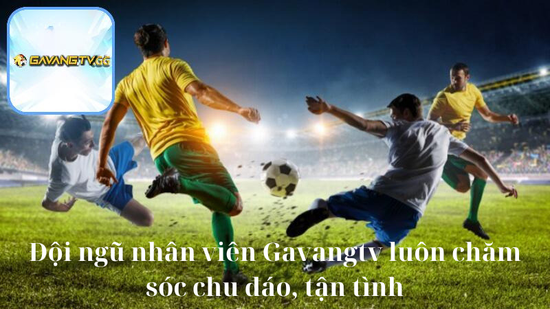 Đội ngũ nhân viên Gavangtv luôn chăm sóc chu đáo, tận tình