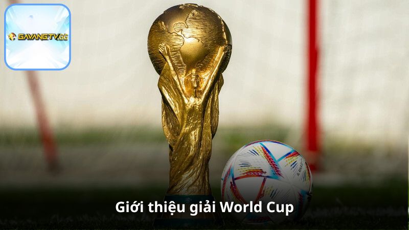Giới thiệu giải World Cup