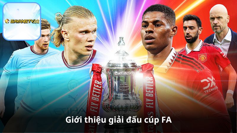 Giới thiệu giải đấu cúp FA