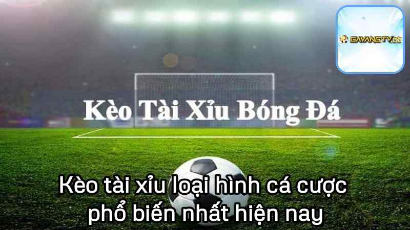 Kèo tài xỉu là gì - Là loại hình cá cược phổ biến nhất hiện nay
