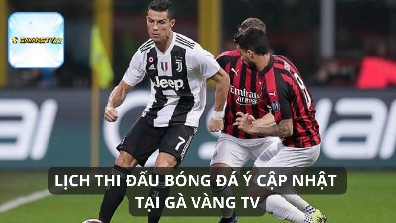 Theo dõi lịch thi đấu bóng đá Ý tại Gà Vàng TV