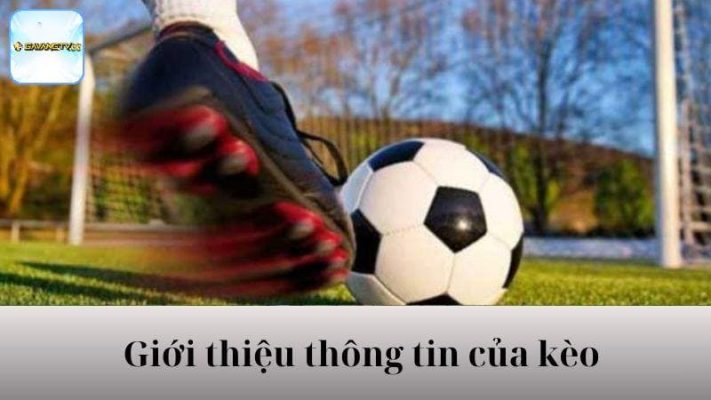 Các mẹo hay để tham gia kèo với xác suất thắng cao hơn